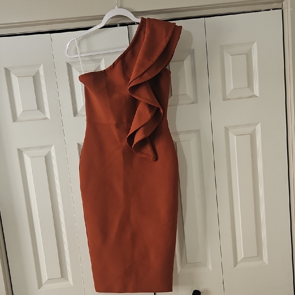 NWT Stunning One-Shoulder Rust Dress